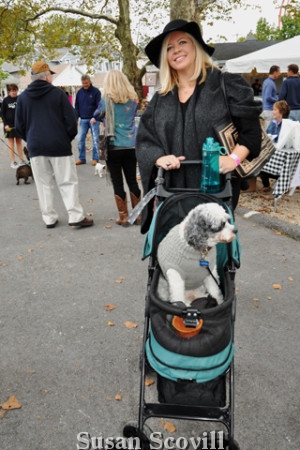 12. Kathleen Keneally brought Jasper, her well-behaved Cock-a-poo who loved riding in this baby carriage.