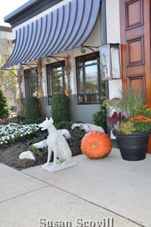 The White Dog relaxes at the entrance to the White Dog Cafe!