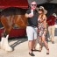 Devon Horse Show supporters attend Budweiser Clydesdales reception