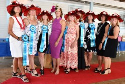 Ladies Day 2023 at the Devon Horse Show