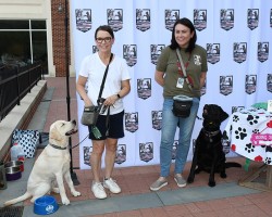 Dining Out For Dogs set for August 4 at White Dog Cafe Locations