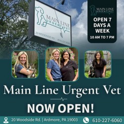 Main line Urgent Vet launches Angel Fund ‘Giving Tree’